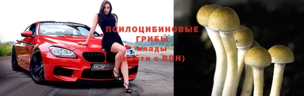 эйфоретик Пересвет