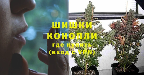 эйфоретик Пересвет